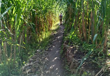 Trail Walking  - Cabo de Ribeira - Vila das Pombas - Photo