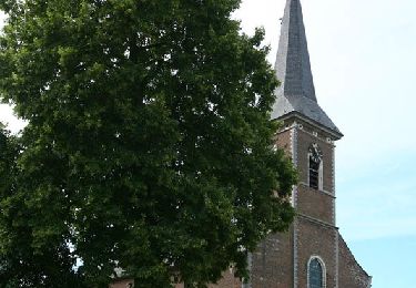 Excursión A pie Bekkevoort - Hermansheuvel Oranje bol - Photo