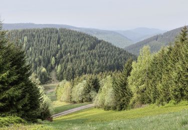 Excursión A pie Goslar - HK 2: Münchehof, Bhf. - Bad Grund - Clausthal-Zellerfeld - Langelsheim - Photo