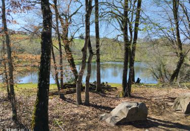 Tocht Stappen Gorses - Le tour du lac de Tolerme  - Photo