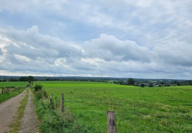 Tour Wandern Raeren - 2022-01-18_14h11m36_lichtenbusch - Photo