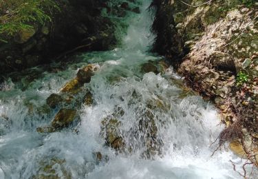 Trail Walking Chamonix-Mont-Blanc - Chamonix chalet de la Floria - Photo