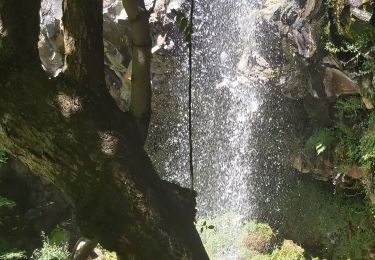 Excursión Senderismo Curières - Cascade du Déves - Photo