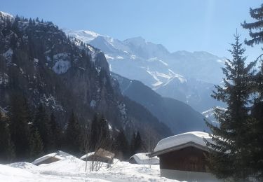 Tour Schneeschuhwandern Passy - 05-03-2022 Plaine Joux - Chalet du Souay - Photo