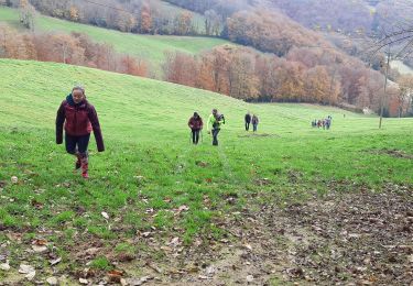 Tour Wandern Lestrade-et-Thouels - Randonnée Téléthon  - Photo