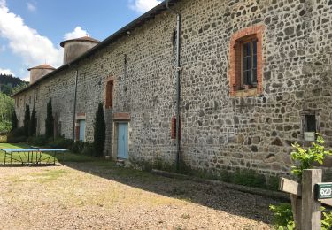 Percorso Marcia Poule-les-Écharmeaux - Poule-Les-Echarmeaux (16 km - D. 555) - Photo