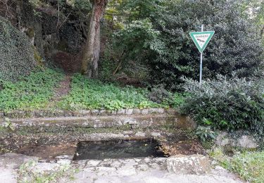 Tour Zu Fuß Bergisch Gladbach - O Rund um Berg.Gladbach-Herkenrath - Photo