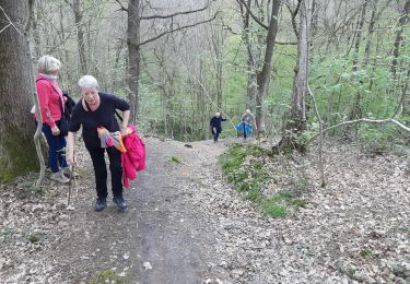 Tour Wandern Thuin - Lobbes réouverture  - Photo