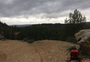 Tocht Stappen Le Tholonet - Barrage du Bimont - Photo