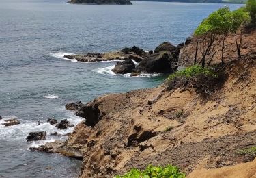 Tour Wandern Sainte-Marie - Azérot morne bataillon, pointe Martineau, pointe Lahoussaye et Cité étoile. - Photo