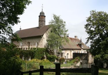 Percorso A piedi Gruyères - Sentier des Pauvres - Photo