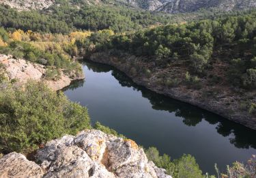 Excursión Senderismo Le Tholonet - Le tholonet - Photo