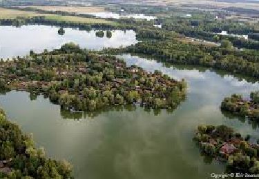 Tour Wandern Misy-sur-Yonne - JC 03 Misy sur Yonne Les sablières  - Photo