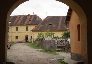 Tour Zu Fuß Protiwin - NS Zelendárky - Photo