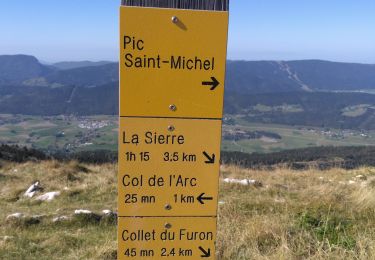 Trail Walking Lans-en-Vercors - Pic Saint Michel-Les Allières - Photo