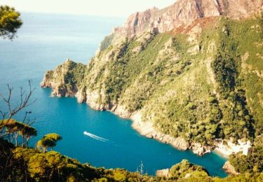 Percorso A piedi Camogli - Molini di San Fruttuoso - Nozarego - Photo