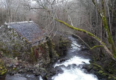 Trail Walking Besse-et-Saint-Anastaise - besse - Photo