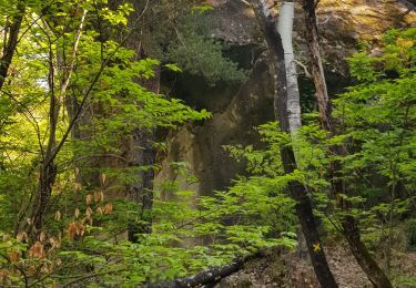 Tour Wandern Annot - LES GRÈS D'ANNOT - Photo