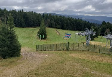 Excursión Senderismo Gérardmer - Gérardmer bioquets grouvelin lispach mauselaine 19kms 583m  - Photo