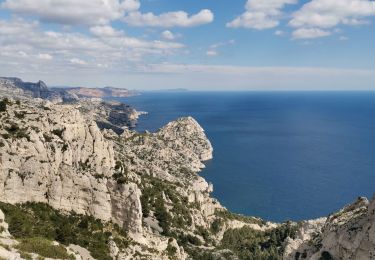 Tour Wandern Marseille - 5 calanques, retour plateau de l'homme mort - Photo