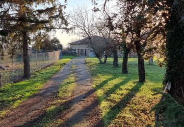 Randonnée Marche Monferran-Savès - Sur les terres de Monferran Saves  - Photo