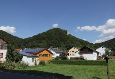 Excursión A pie Dietfurt an der Altmühl - Wildensteiner Steig - Photo