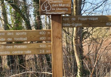 Trail Walking Chambly - la route du marais - Photo