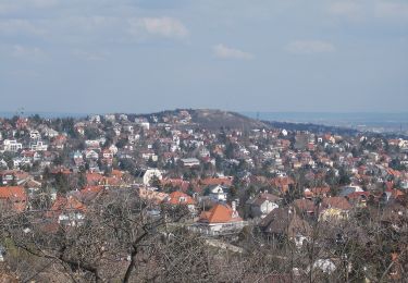 Percorso A piedi Sconosciuto - P■ (Csillebérc, KFKI am. - Frankhegyi th. - Irhás-árok, am.) - Photo