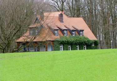 Excursión A pie Reichelsheim (Odenwald) - Rundwanderweg Vierstöck 6: Knösberg-Weg - Photo