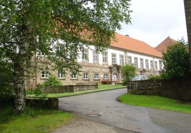 Tour Zu Fuß Warburg - A2 Rundwanderweg Hardehausen - Photo