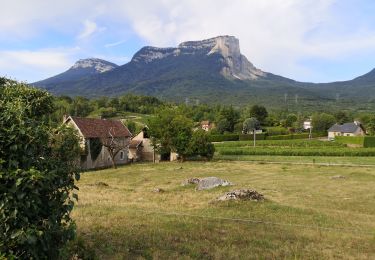 Trail Walking Apremont - 20190814 - Lac Saint André - Photo