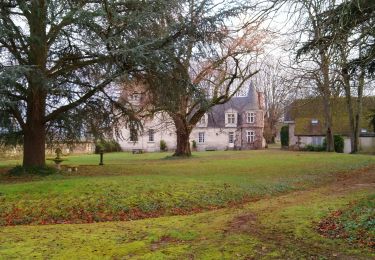 Tour Wandern Saint-Georges-sur-Cher - Francueil - La Chaise - 2016 01 02 - Photo