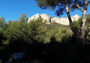 Excursión Senderismo Le Revest-les-Eaux - Le Mont Caume-17-03-21 - Photo