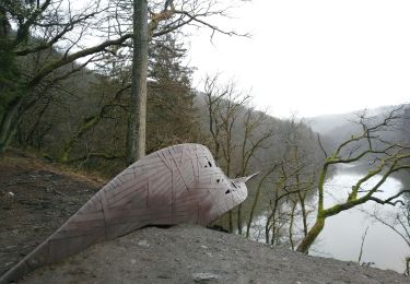 Trail Walking Houffalize - la plate tournée - Photo