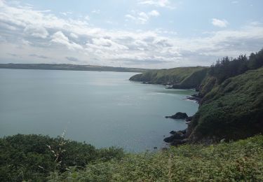 Tocht Stappen Hillion - Pointe des Guettes et de Grouin 8.7.23 - Photo