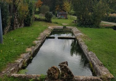 Tour Wandern Rignac - Rignac - Photo