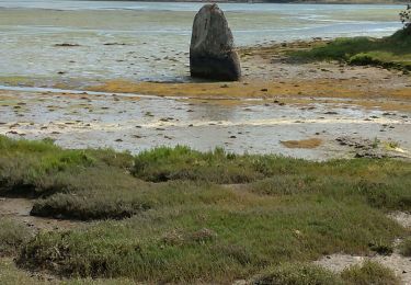 Excursión Senderismo Pont-l'Abbé - Pont l'Abbé et l'estuaire de la rivière (fleuve côtier) du même nom - Photo