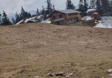 Percorso Marcia Glières-Val-de-Borne - Les Meffins - Col de Spée - Lavouillon - Les Meffins - Photo