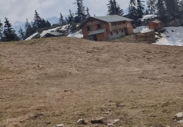 Tour Wandern Glières-Val-de-Borne - Les Meffins - Col de Spée - Lavouillon - Les Meffins - Photo