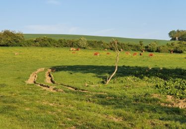 Tocht Stappen Corny-sur-Moselle - corny sur moselle - Photo