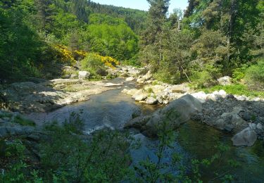 Trail Walking Cros-de-Géorand - La Palisse Cros de Gérorand - Photo