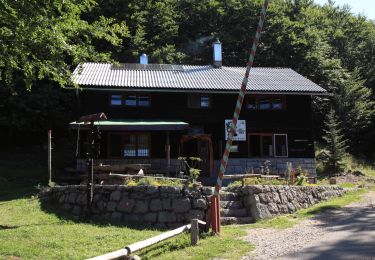 Excursión A pie  - Nacionalni park Sjeverni Velebit II - Rožanski kukovi - Photo