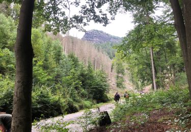 Tour Wandern Herrnskretschen - Randonnée en Suisse Bohème  - Photo