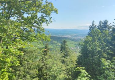 Trail Walking Saint-Dié-des-Vosges - Circuit Can celtique de la bure - Photo