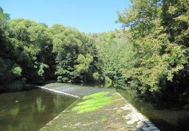 Randonnée A pied Mohelno - Naučná stezka národní přírodní rezervace Mohelenská hadcová step - Photo