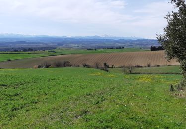 Randonnée Marche Villarzel-du-Razès - Vilarzel du Razès et son chateau - Photo