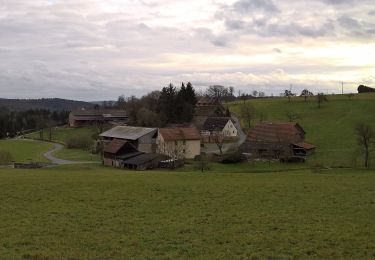 Trail On foot Michelstadt - Rundwanderweg Vielbrunn 5 : Sansenhof-Weg - Photo