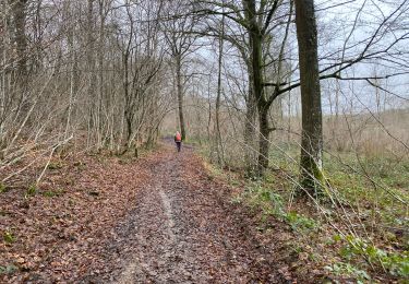 Excursión Senderismo Anhée - Bioul 29,7 km - Photo