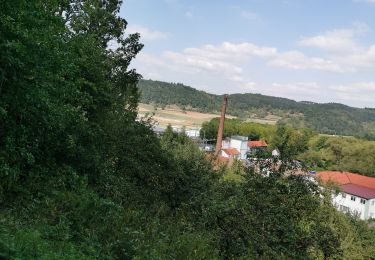 Percorso A piedi Werbach - Rundwanderweg Gamburg 6 - Photo