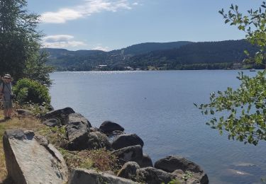 Tour Wandern Gerdsee - Tour du Lac Gérardmer  - Photo